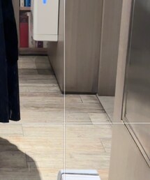 LOUIS VUITTON | バッグ