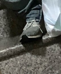 adidas | スニーカー