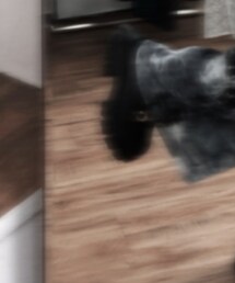 D+af | ローファー