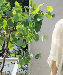 masion special | ジャケット/アウター