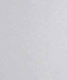 MOSCOT | サングラス