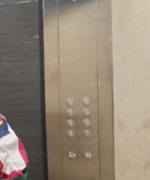 NAUTICA | シャツ/ブラウス