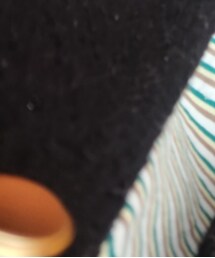 AMERICAN HOLIC | Tシャツ/カットソー