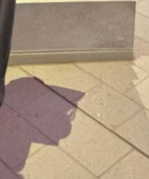 UNIQLO | スラックス