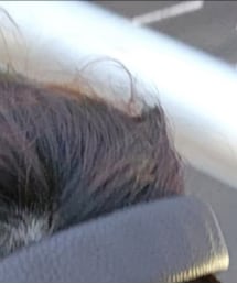 Marshall | ヘッドフォン/イヤホン