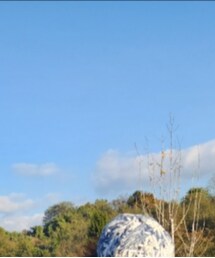 外国の | キャップ