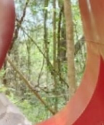 streetshop | バッグ