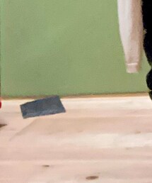 ダニ取りマット💦 | その他