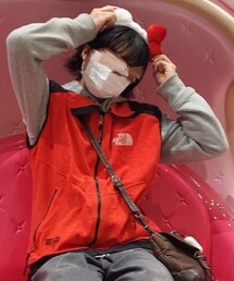 THE NORTH FACE | ベスト