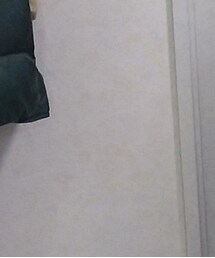 UNIQLO | ダウンベスト