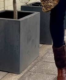 UNIQLO | パンツ