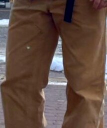 Carhartt | その他パンツ