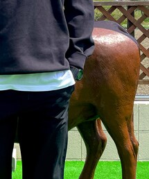 UNIQLO | Tシャツ/カットソー