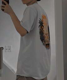 STUSSY | Tシャツ/カットソー
