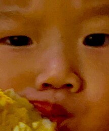 U | Tシャツ/カットソー