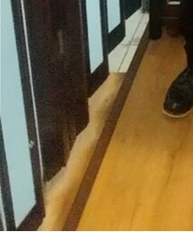 RED WING | ブーツ