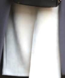 ZARA | スカート