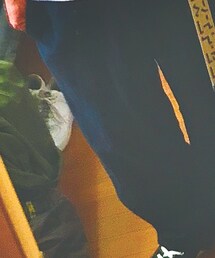 ANDFAMILY'S | パンツ