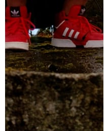 adidas Originals | スニーカー