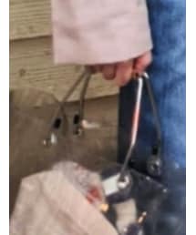 ボン・フェット | トートバッグ