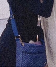 LeSportsac | ショルダーバッグ