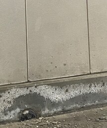 CELINE | デニムパンツ