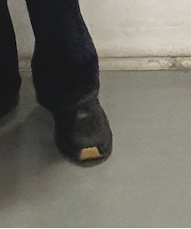 HOKA | スニーカー