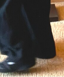 Y-3 | スニーカー