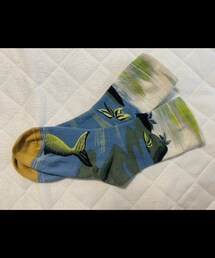 不明 | ソックス/靴下