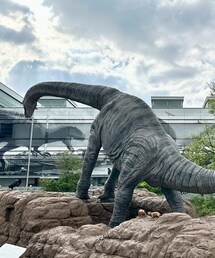 恐竜🦕 | その他