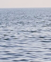 海 | その他