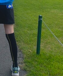 TaylorMade | ソックス/靴下