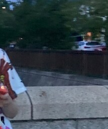 ZARA | Tシャツ/カットソー