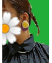 ありんこ | ピアス（両耳用）