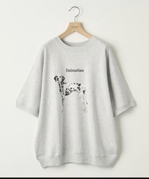 info. BEAUTY&YOUTH | スウェット