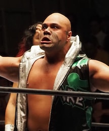 ヘナレ選手 | アウトドア/スポーツ