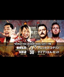 棚橋弘至 矢野通vs アレックス・コグリン ゲイブリエル・キッド | アウトドア/スポーツ