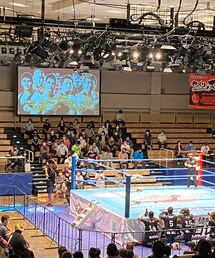 全日本プロレス | その他