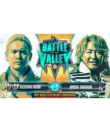 IWGP世界ヘビー級選手権 オカダ・カズチカvs棚橋弘至 | アウトドア/スポーツ
