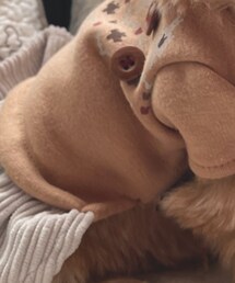 ペットパラダイス | ペットウェア