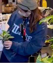 TOMMY HILFIGER | スウェット