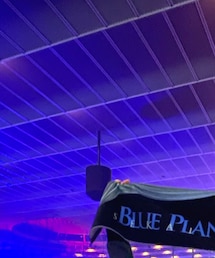 BLUE PLANET ORCHESTRA | タオル