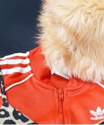 adidas | ジャージ