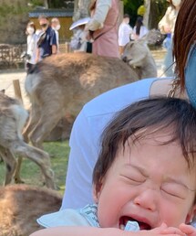 agnes b. | Tシャツ/カットソー