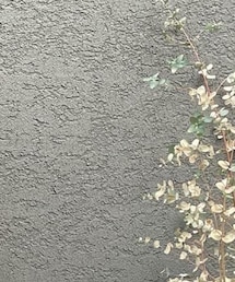 HERZ | ランドセル