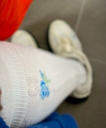 靴下屋 | ソックス/靴下