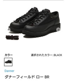 Danner | ダナーフィールドローBR(シューズ)