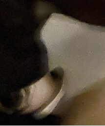 adidas SB | スニーカー