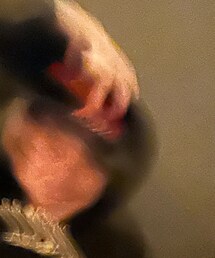 Bronze56k | キャップ