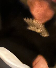 Passport | パーカー